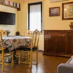 Rent 2 bedroom apartment of 40 m² in Viareggio