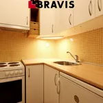 Rent 1 bedroom apartment in Brno