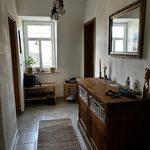 Rent 1 bedroom apartment of 46 m² in Dresden