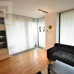 Rent 2 bedroom apartment of 64 m² in Prague