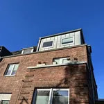 Rent 3 bedroom apartment of 90 m² in Cologne