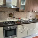 Rent 3 bedroom apartment of 60 m² in Pomezia