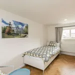 Pronajměte si pokoj o rozloze 113 m² v prague