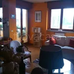 Rent 3 bedroom apartment of 90 m² in Monza