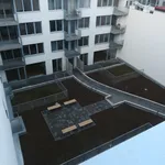 Rent 2 bedroom apartment of 82 m² in Brno