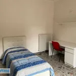 Rent 3 bedroom apartment of 90 m² in Campobasso