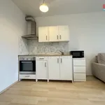 Rent 1 bedroom apartment of 32 m² in Praha