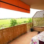 Rent 5 bedroom apartment of 125 m² in Tuscania