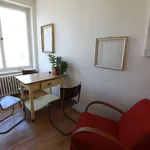 Rent a room of 120 m² in Prague