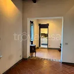 Rent 1 bedroom apartment of 45 m² in Rocca di Papa