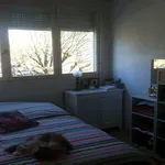 Rent 1 bedroom apartment in ORLEANS