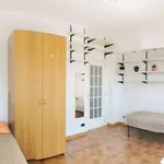 Rent 3 bedroom apartment of 100 m² in Turin