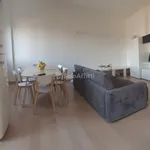 Affitto 2 camera appartamento di 65 m² in Legnago