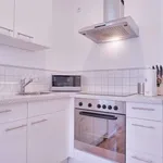 Rent 1 bedroom apartment of 50 m² in berlin