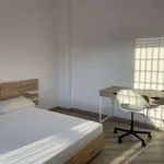 Rent a room of 130 m² in rome