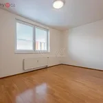 Pronajměte si 4 ložnic/e byt o rozloze 102 m² v Praha