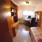 Rent a room in alicante