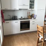 Rent 2 bedroom apartment of 62 m² in padova