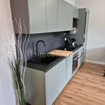 Rent 2 bedroom apartment of 60 m² in Turin