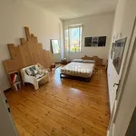 Rent 5 bedroom apartment of 210 m² in Trento