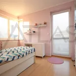 Rent 5 bedroom house of 160 m² in Prague