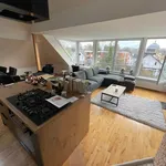 Rent 2 bedroom apartment of 52 m² in Oldenburg