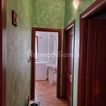 3-room flat corso Roma 85, Centro, Avigliano Umbro