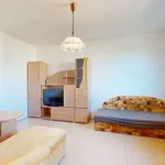 Rent 1 bedroom apartment in Ústí nad Labem