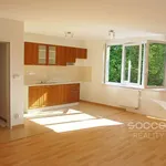 Rent 4 bedroom apartment of 110 m² in Praha