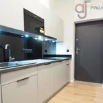 Rent 1 bedroom apartment of 22 m² in Łódź