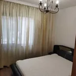 Rent 2 bedroom apartment of 65 m² in Каменица 1