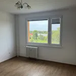 Rent 1 bedroom apartment of 40 m² in Pardubice