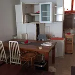 Rent a room in bologna