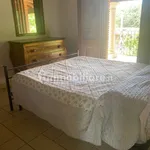 2-room flat excellent condition, ground floor, Ponserico, Cretarossa, Nettuno