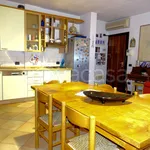 Rent 4 bedroom apartment of 80 m² in Cervia