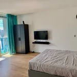 Huur 1 slaapkamer appartement van 40 m² in Den Haag