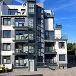 Rent 1 bedroom apartment of 44 m² in Berlin