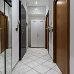 Rent 1 bedroom apartment in Bologna