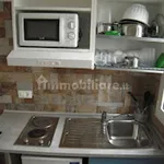 Rent 1 bedroom apartment of 40 m² in Bologna