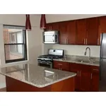 Rent 1 bedroom apartment in Chicago