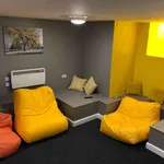 Rent 1 bedroom student apartment of 19 m² in Leicester