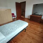 Affitto 3 camera casa di 18 m² in Padova