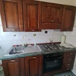 Rent 2 bedroom apartment of 70 m² in bologna