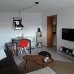 Rent 1 bedroom apartment of 38 m² in Heidelberg