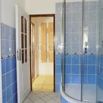 Rent 1 bedroom apartment of 40 m² in Děčín