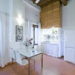 Rent 1 bedroom apartment of 35 m² in Firenze