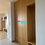 Rent 3 bedroom apartment of 77 m² in Frýdek-Místek