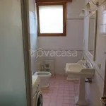 Rent 4 bedroom apartment of 90 m² in Bologna