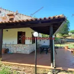 Rent 3 bedroom house of 67 m² in Pollina