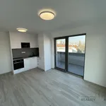 Rent 2 bedroom apartment of 34 m² in Břeclav